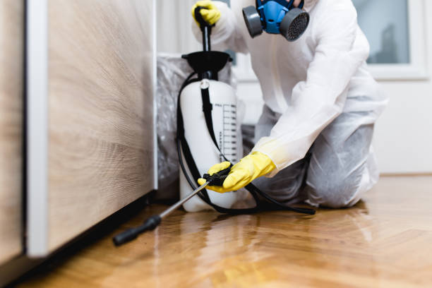 Best Wasp Removal Services  in Dallas, OR
