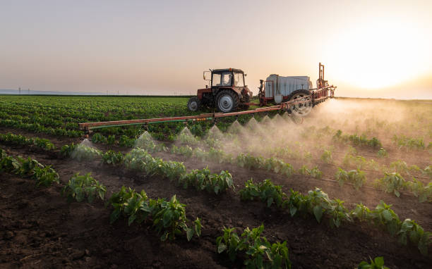 Best Mosquito Control Services  in Dallas, OR