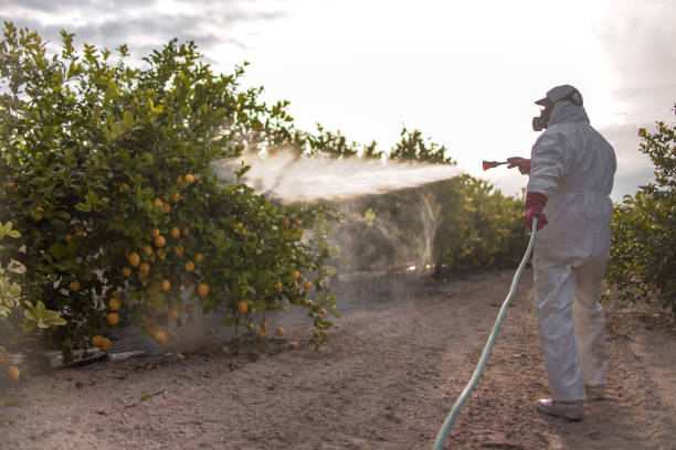 Best Cockroach Control Services  in Dallas, OR