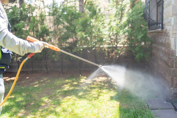 Best Flea Control Services  in Dallas, OR