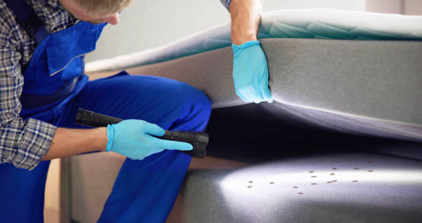 Best Termite Control Services  in Dallas, OR