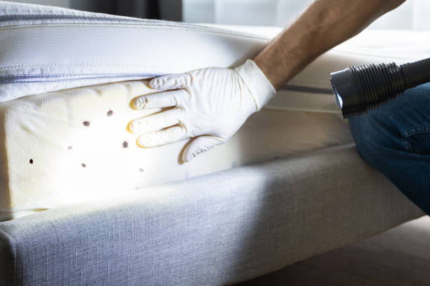 Pest Control Cost in Dallas, OR