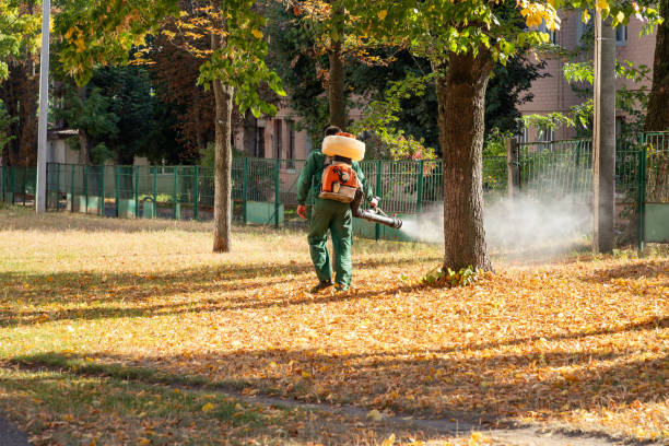 Pest Control for Restaurants in Dallas, OR