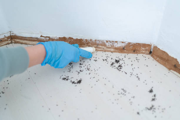 Best Pest Prevention Services  in Dallas, OR